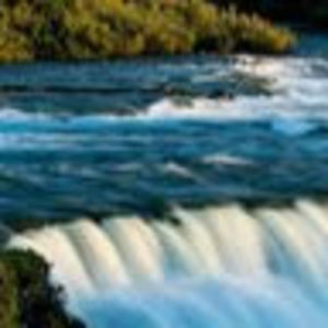 Meet your Posher, Marie